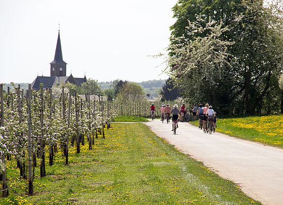 2018 Frühling Meckenheimer Blütentour